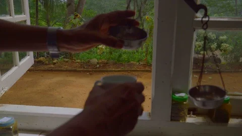 Close-up of hands measuring Tea with Weight Balance Scale Stock Footage 107211674