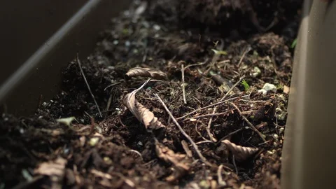 Close-up of hands mixing soil in a planter with a garden trowel Vidéo 125050825