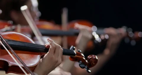 Close-up of the hands of a musician playing a classical violin. Violinists play Vídeos de archivo 263289419