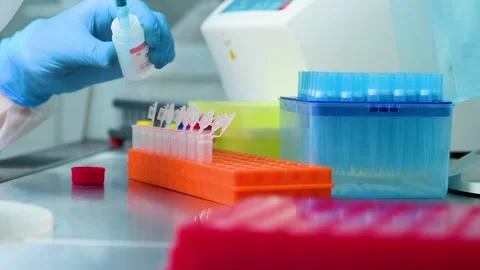 Close-up of the hands of a PCR lab worker in rubber gloves with a dispenser Stock-Footage 149870617