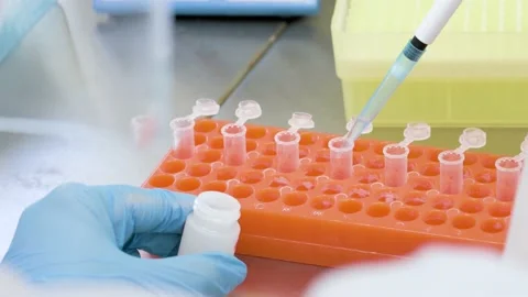 Close-up of the hands of a PCR lab worker in rubber gloves with a dispenser Stock-Footage 182066938
