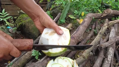 Close-up of hands peeling fresh pomelo fruit using a machete outdoors Video stock 335019616