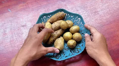 Close up of hands peeling skin off boiled yellow sweet potato Stock Footage 340049943