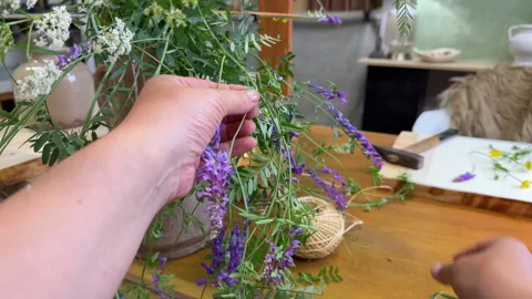 Close-up of hands picking fresh flowers for botanical art — creative floral pres Stock Footage 311754209