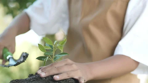 Close up hands plant small tree green leaf by shovel. Save the earth Video stock 152151246