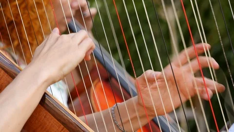 Close up of hands that play arp Stock Footage 90414113