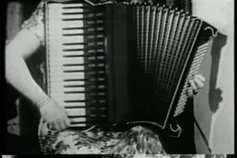 Close-up of hands playing accordion 스톡 동영상 11353141