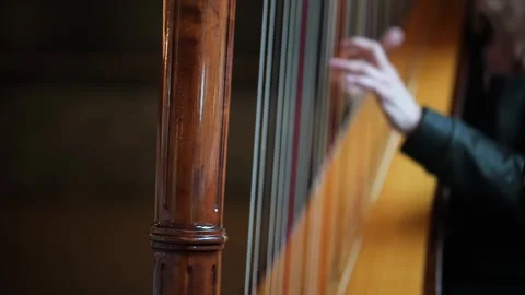 Close-up of hands playing a classical harp with wooden frame Stock Footage 345260275