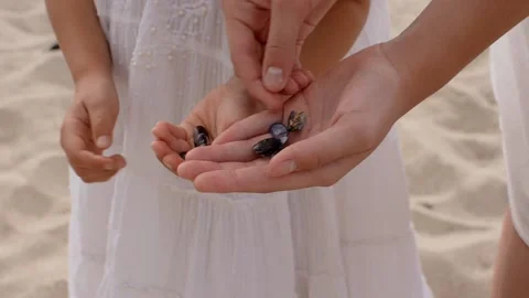 Close up of hands playing with shells. Video stock 160286458
