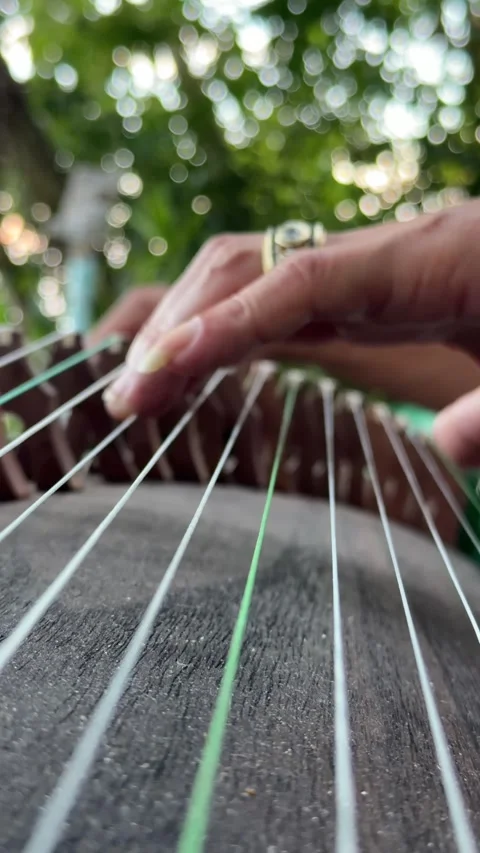 Close up of hands playing a traditional string instrument outdoors in a green ga Stock Footage 338001862