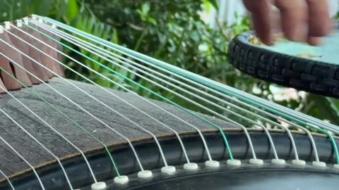 Close up of hands playing a traditional string instrument with green foliage blu Stock Footage 338001916