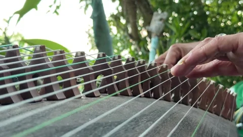 Close up of hands playing a traditional string instrument outdoors with green tr 스톡 동영상 339280022