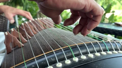 Close up of hands playing a traditional string instrument outdoors in a green ga Stock Footage 340890462