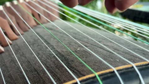 Close up of hands playing a traditional string instrument with a soft green gard Видео 341408881