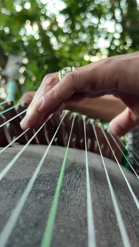 Close up of hands playing a traditional string instrument in a green garden with Stock Footage 342140174