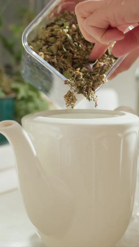Close up hands pouring dried herbal mix into white ceramic teapot with water Stock Footage 344427321