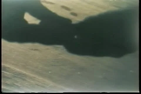 Close-up of hands pouring pills on table and taking two Stock Footage 11354213