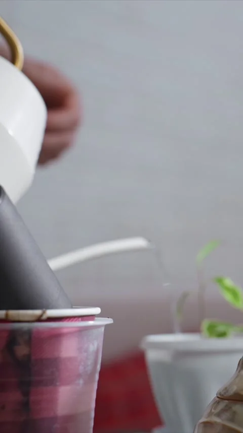 Close up of Hands Pouring Water from Pitcher into Containers and Plants Stock Footage 346788688