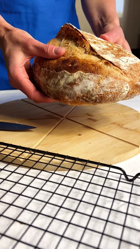Close up of hands presenting warm yeast free bread with rustic crust Stock Footage 315102145