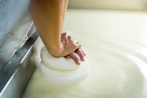 Close up of hands pressing curd into cheese shape,young in dairy plant cheese Stock Photos