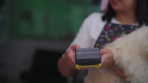 Close-Up Hands Processing Credit Card Payment: Buy and Sell Products &amp; Servic Stock Footage 241133645