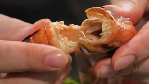 Close-up of Hands Pulling Apart a Freshly Grilled Whole Shrimp Vídeos de archivo 344228783
