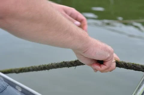 Close-up of hands pulling a mossy rope from water while sitting in a boat Stock Photos