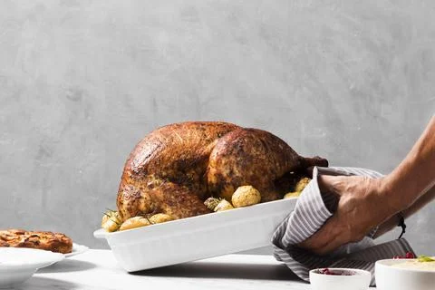 Close up hands putting turkey on table. High quality photo Stock Photos