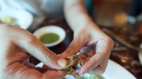 Close Up of Hands Removing a Snail from its Shell at a Buffet Stock Footage 334698219