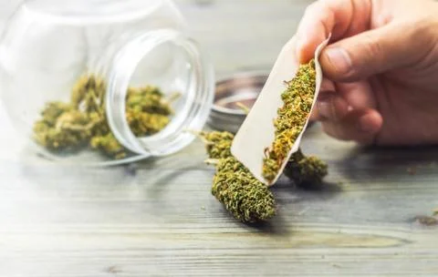 Close up hands rolling a Cannabis Joint Stock Photos