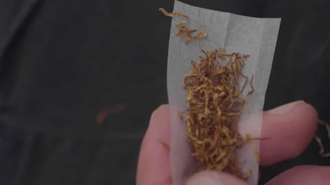 Close up hands rolling tobacco Stock Footage 221825699