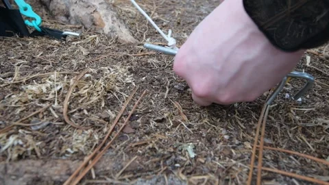 Close-Up of Hands Setting Up a Tent in the Wilderness Stock Footage 313961260