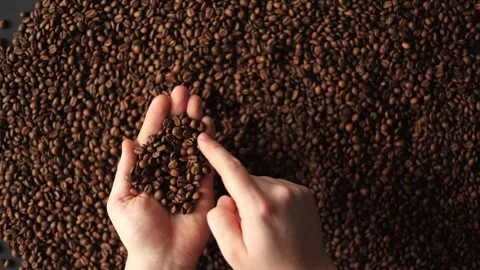 Close-up of hands sifting through roasted coffee beans, showcasing texture and Stock Footage 338441297