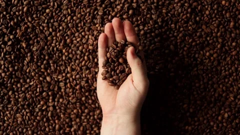 Close-up of hands sifting through roasted coffee beans, showcasing rich texture Stock Footage 338441490