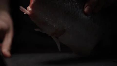Close-Up of Hands Slicing Fresh Salmon Fillet on a Dark Background Stock-Footage 303923769