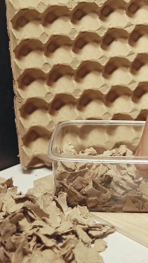 Close-up of hands soaking and mixing shredded egg carton with water Stock Footage 311530757