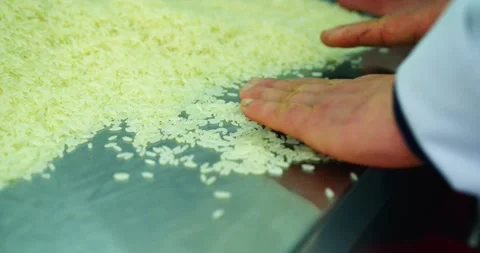 Close-Up of Hands Sorting Rice for Pilaf Stock Footage 346802879