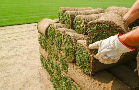Close-up on the hands that stack rolls of grass. Foto stock