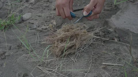 Close-up of hands striking a ferro rod on dry tinder, Kyrgyzstan Видео 347242909