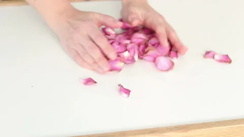 Close-up of hands sweeping and scattering pink rose petals Stock Footage 331512741