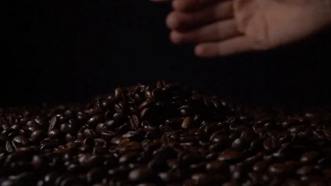 Close up of hands taking fresh roasted coffee beans to let them fall down on  Stock Footage 122592108