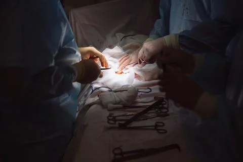 Close-up hands, team of doctors during surgery, surgical instruments on a table Stock Photos
