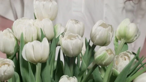Close up of hands touching white tulips Stock Footage 169934102
