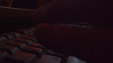 Close up of hands typing on keyboard in dark room, low key lighting Stock Footage 335636254