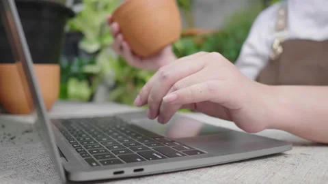Close up hands typing on laptop about plants product information Video stock 170659361