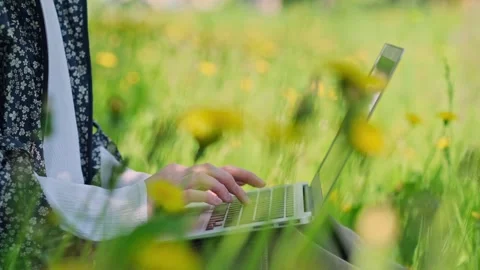 Close-up hands typing on a laptop in the summer park. Video stock 299784440