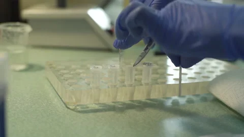 Close-up hands of unrecognizable lab technician in medical gloves cutting cotton Stock Footage 165130603