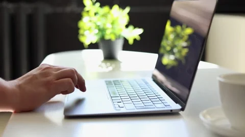 Close up of hands using a laptop computer on a white desk with a plant Vidéo 342280429