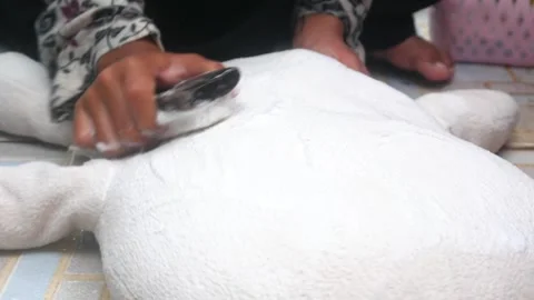 Close up of hands washing clothes or white cloth using a brush Stock Footage 321979251