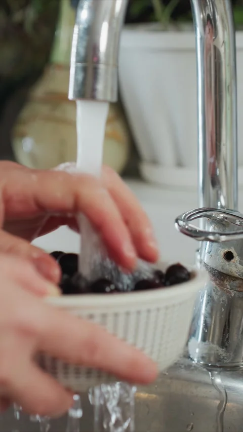 Close up of hands washing dark red grapes under running water in kitchen sink Stock Footage 345669296